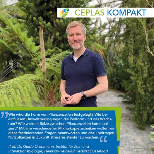 Short statement of Prof. Dr. Guido Grossmann