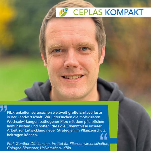Short statement of Prof. Gunther Döhlemann