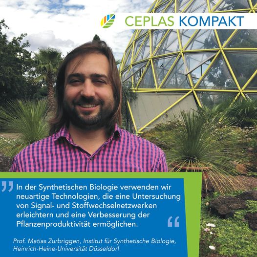 Short statement of Prof. Matias Zurbriggen