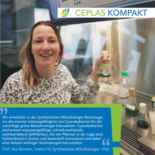 Short statement of Prof. Ilka Axmann