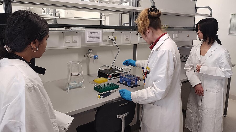 Pupils in the Laboratory at Girls Day 2026