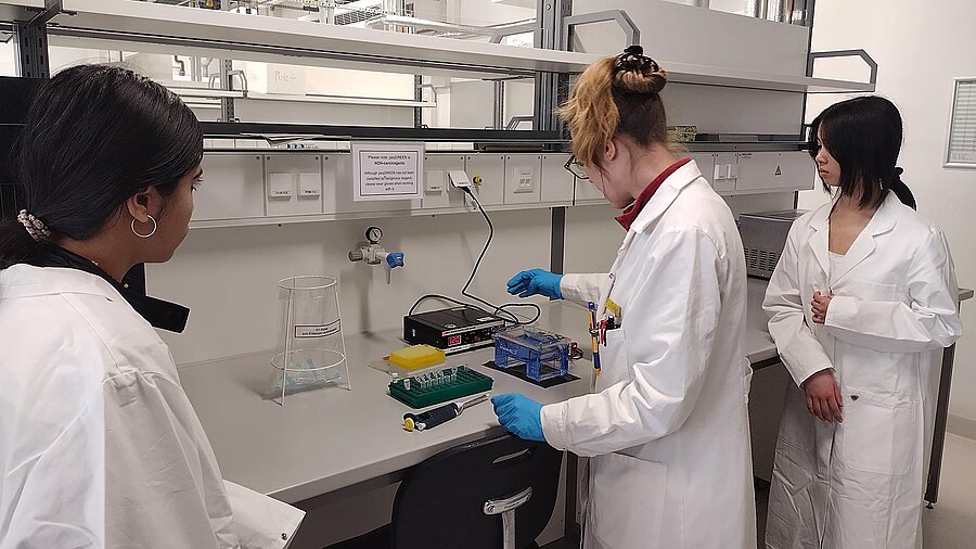 Schülerinnen bei der Laborarbeit beim Girls Day 2026