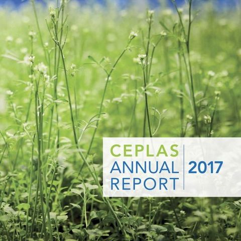 CEPLAS Annual Report 2017