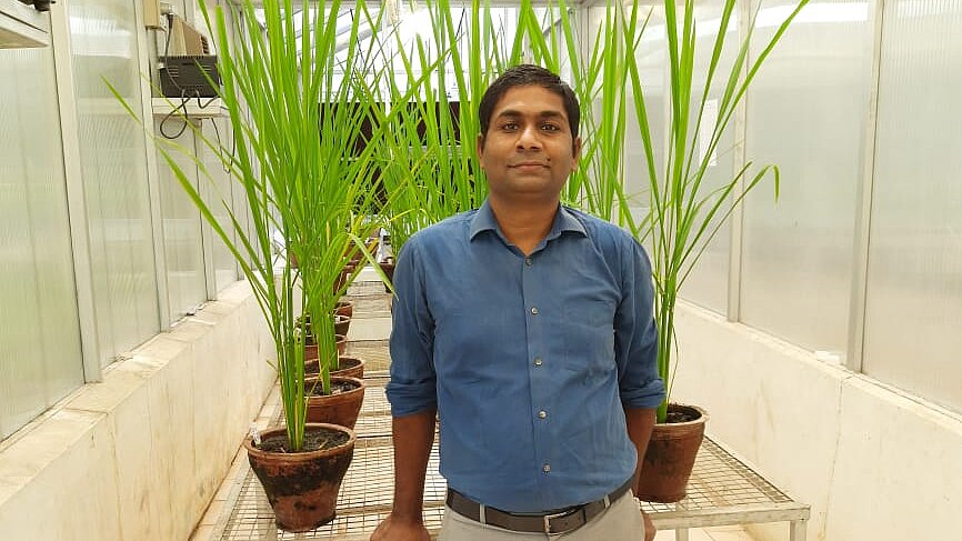 Dr. Satendra Mangrauthia