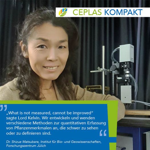 Short statement of Dr. Shizue Matsubara