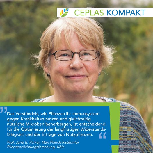 Short statement of Prof. Jane E. Parker