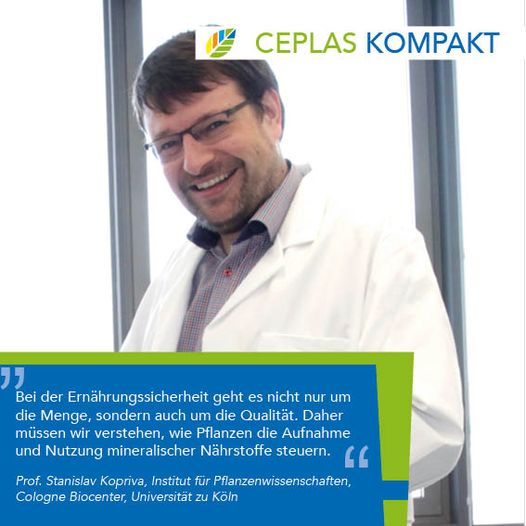 Short statement of Prof. Stanislav Kopriva