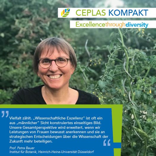 Short statement of Prof. Petra Bauer