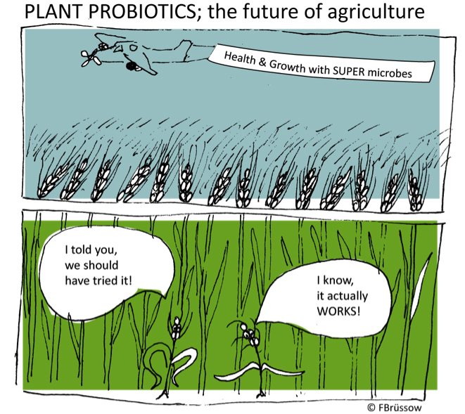 CEPLAS Planter’s Punch Plant Probiotics: The future of agriculture?
